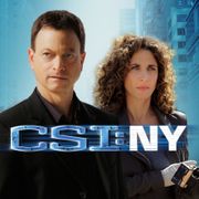 CSI: Kryminalne zagadki Nowego Jorku / CSI: NY