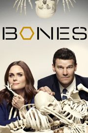 Kości / Bones