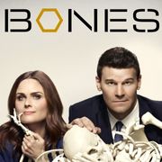 Kości / Bones